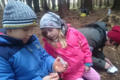 dzieci kurs irlandia