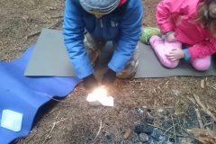 survival irlandia