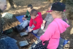 wicklow-survival