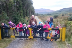 kurs pierwszej pomocy dublin